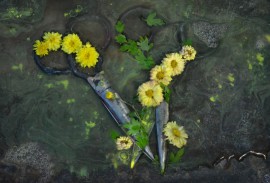 Тибетские Хроники: Игра в Пазлы. Ладакх. Тибетские Хроники: Игра в Пазлы. Ладакх.